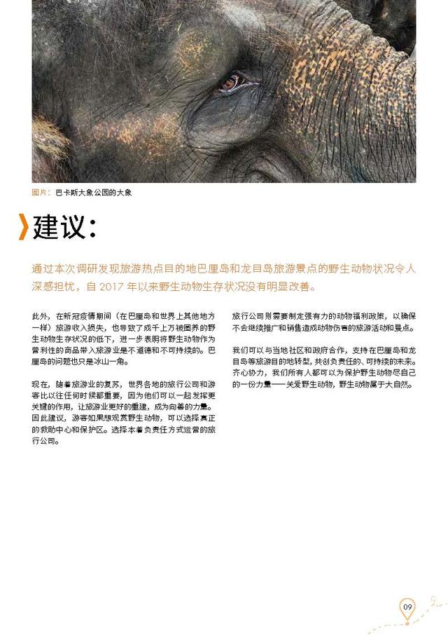 巴厘岛野生动物旅游娱乐景点现状报告（执行摘要）