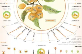枇杷市场北向拓展图片