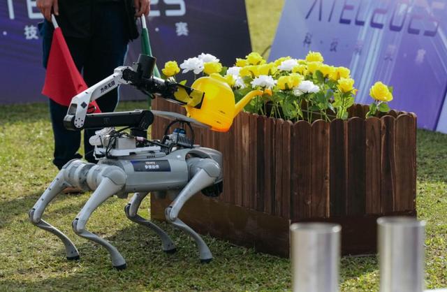 机器人集体到香港户外极限挑战	，狗比人强