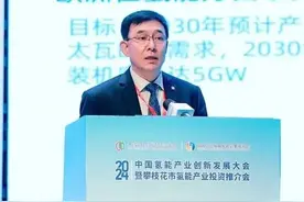 中国科学院过程所段东平：光解水制氢是绿氢发展之路图片