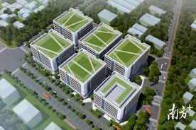 一季度的勒流，火力全开！图片