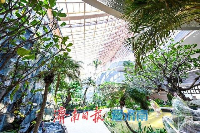 匠心绘就“鹊华秋色” 黄河畔再展新画卷