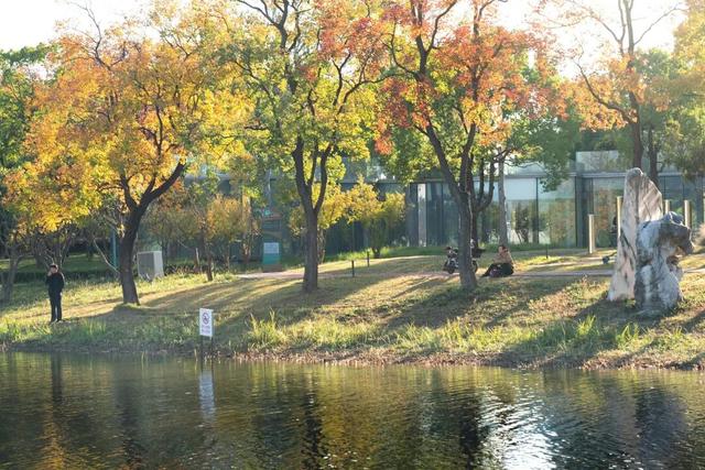 湖光金叶织秋韵