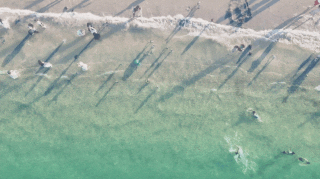 去粤港澳这篇就够了！最新指南→