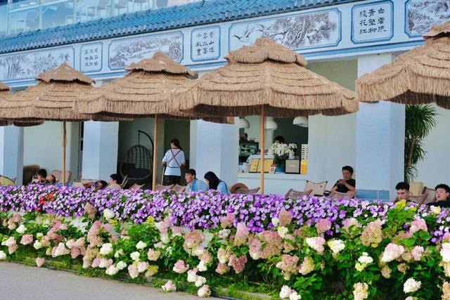 大理最治愈的129公里：这个夏天，在洱海边找到生活的解药