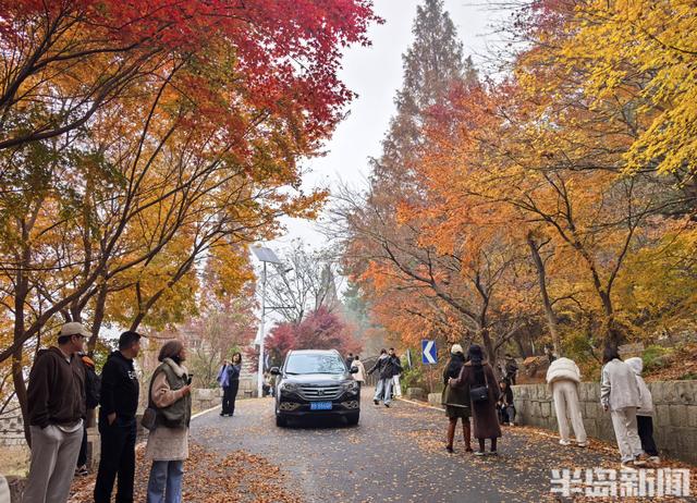 北九水网红路，周末打卡人气高！