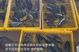 莎车县澳洲小龙虾“跃”出新疆走向全国图片