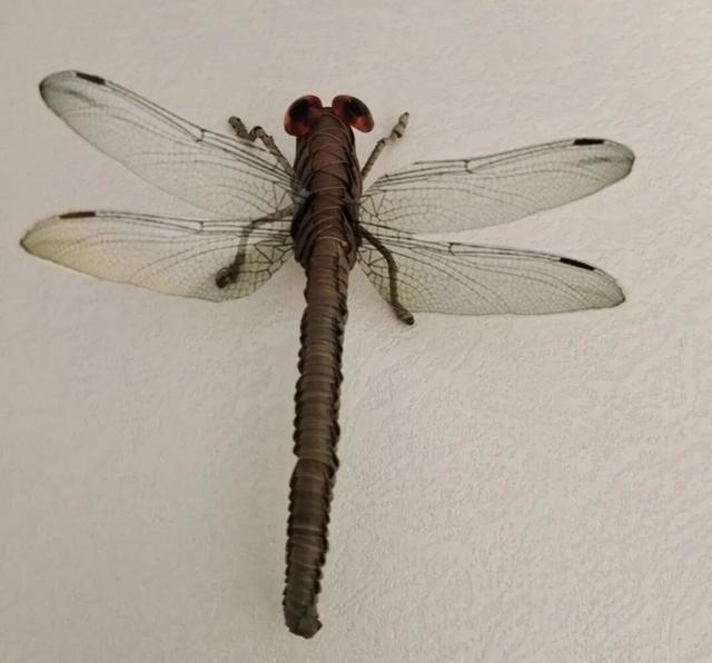 周末去哪儿玩？来夫子庙赴一场非遗之约！