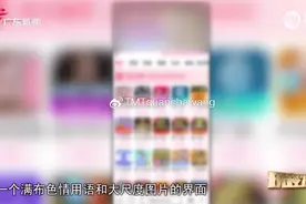 夸克APP暗藏大量色情淫秽信息 曾被罚款50万图片