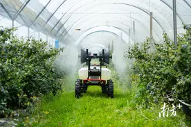 广东农业科技上新！无人驾驶“开”到更多农田图片