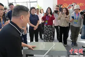 湖南溆浦新材料产业绿色创新“吸睛”国际视野图片