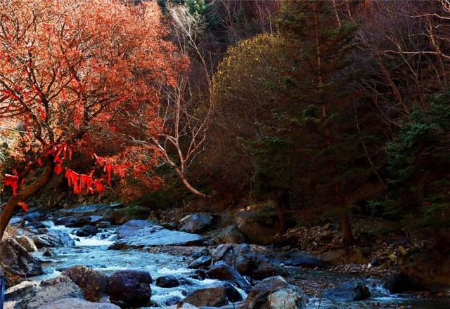 学习强国 | 河北蔚县：山色斑斓别样美