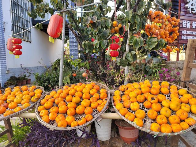 秋日溜娃新选择！郑州“四季寻鲜”周末采摘路线来了