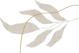 聆听来自森林的曼妙乐章——《茉莉花》图片