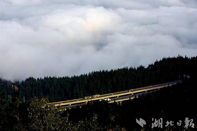 巴东：“云端高速”入画来