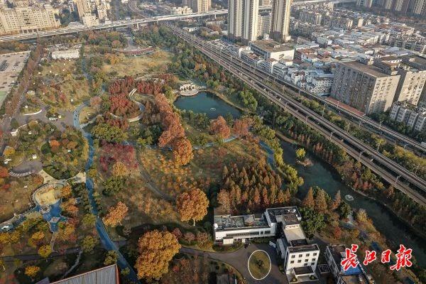 藏在公园里的浪漫栈道