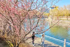 繁花舞春风！北京诗意春景上新图片