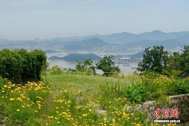 冷门小岛变身露营热地 浙江舟山东岠岛做对了什么？