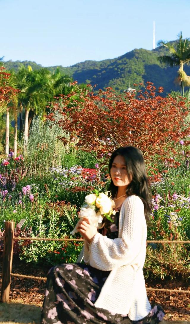 行摄 | 美爆了！秋日花海，限时上映