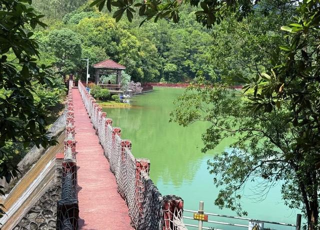 来啊，一起“躺坪”！增城「露营公园」指南→