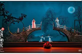 杨丽萍指导 黄梅戏音舞诗剧《新孔雀东南飞》在杭首演图片