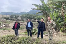 平和文峰：退果还耕展绿色新卷 护田稳粮绘振兴蓝图图片