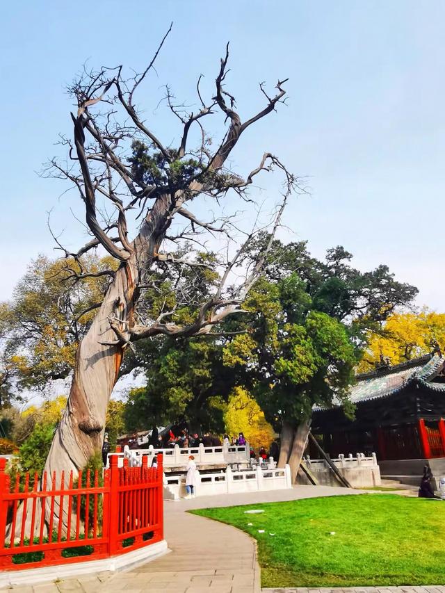 晚潮｜邂逅秋光三千年