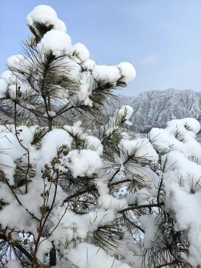 这是2026年昌平的第一场雪！