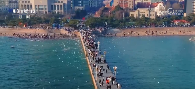 七夕仪式感满满！各地迎来结婚登记小高峰 特色登记点成为浪漫打卡地