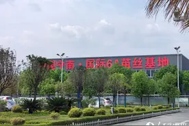 南丝路上“南丝路”：盯住小桑叶，发展大思路图片