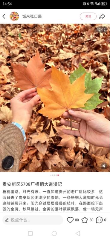 诗谜藏秘境 初冬赴贵安: 「谜境寻踪」下周收官,最后席位敬待解锁