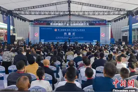 第二届湖南（廉桥）中医药产业博览会开幕 专业市场变展馆图片