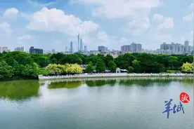 刚需改善齐发力，广州3月新盘盘点图片