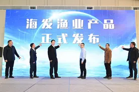首批上市，“东海1号”深海野化大黄鱼“游”向市场图片