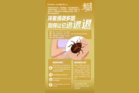 臭虫侵袭多国背后：疫后旅游业复苏、酒店卫生不到位惹的祸？图片