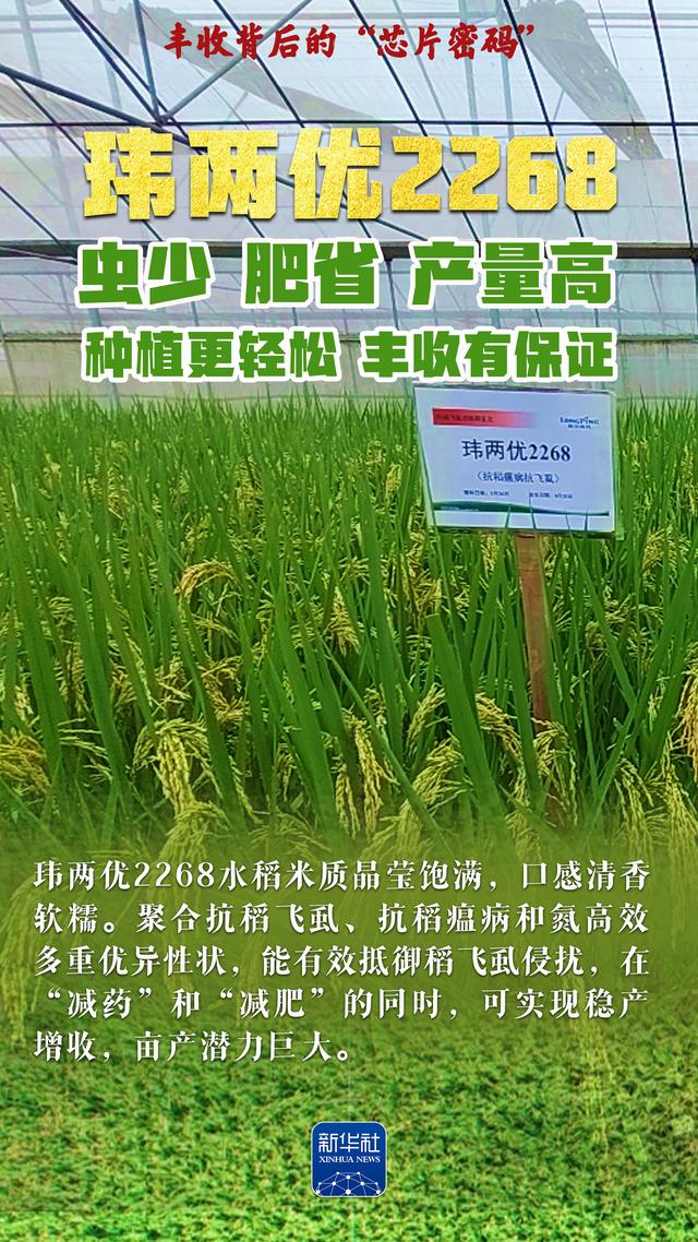 丰收背后的“芯片密码”