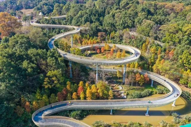 如画江西的冬日惊喜，是什么样子的？