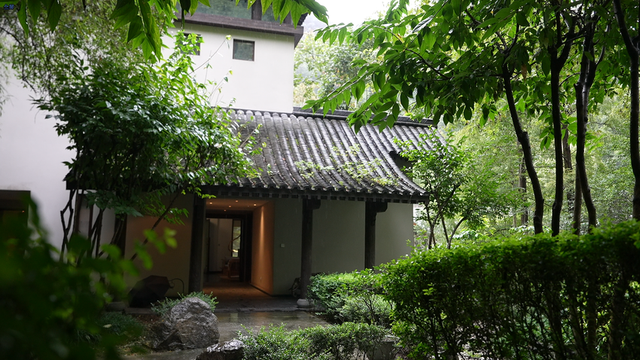 打卡保康蜡梅谷！“芳香疗愈” 新体验，隐居度假好去处