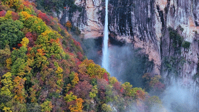 冉冉秋光色，今日又重阳！快用一场登高赏景晒一晒潮湿的心情~