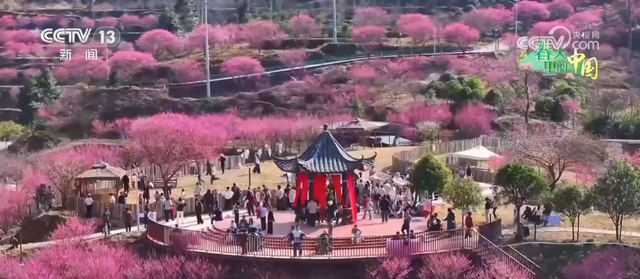 各地以“花”为媒点亮“美丽经济” 春日“颜值”加速转化为文旅“价值”