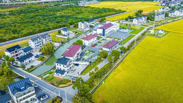 碧水黛瓦织锦绣！这个上海小镇，把江南诗篇写进了现实