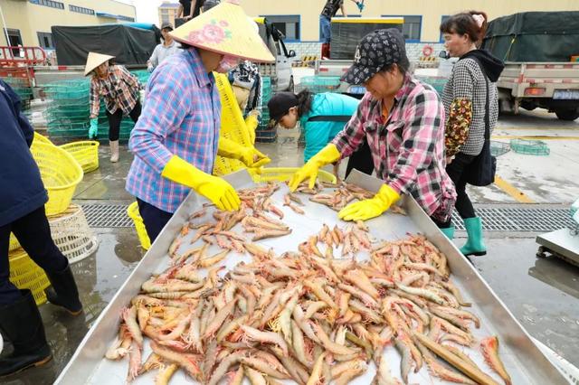 超强攻略！六大活动、六大夜市、九大海鲜市场等你探秘2025北部湾开海节！