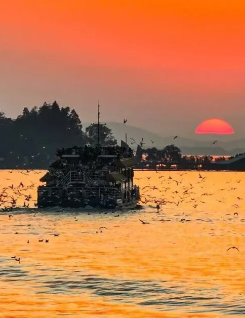 15日畅游长三角“随心乘”！怎么玩？有哪些线路？“薅羊毛”攻略来啦～