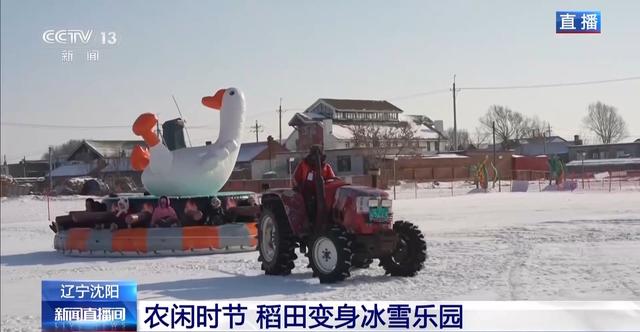 稻田变身冰雪乐园 多种趣味玩法邀你驰骋雪场