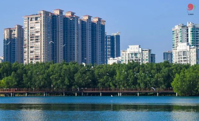 官方认证|湛江这两条遛娃线路，有料！