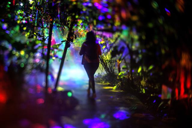 （外代二线）“夜间公园”灯光秀