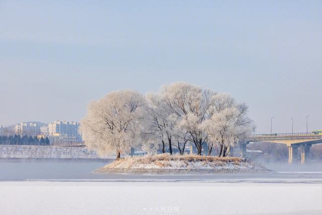 冬日画卷！吉林绝美雾凇上线