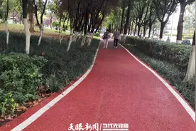 【生态资讯】1月贵阳市空气质量排名出炉，观山湖区夺冠图片