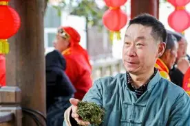 “荒野茶”不“荒” 浙江庆元乡贤提升家乡茶叶价值助共富图片