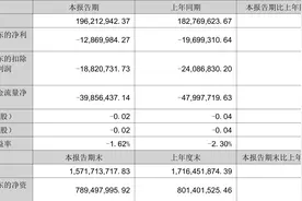 华鹏飞：2023年上半年亏损1287万元图片